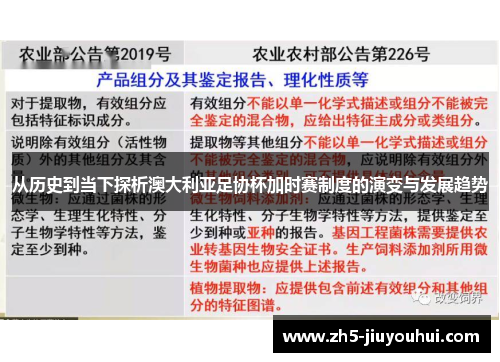 从历史到当下探析澳大利亚足协杯加时赛制度的演变与发展趋势