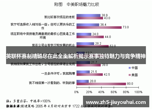 英联杯赛制精髓尽在此全面解析揭示赛事独特魅力与竞争精神 英联杯赛制精髓尽在此全面解析揭示赛事独特魅力与竞争精神