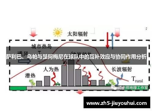 萨利巴、乌帕与楚阿梅尼在球队中的互补效应与协同作用分析