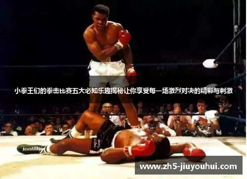 小拳王们的拳击比赛五大必知乐趣揭秘让你享受每一场激烈对决的精彩与刺激