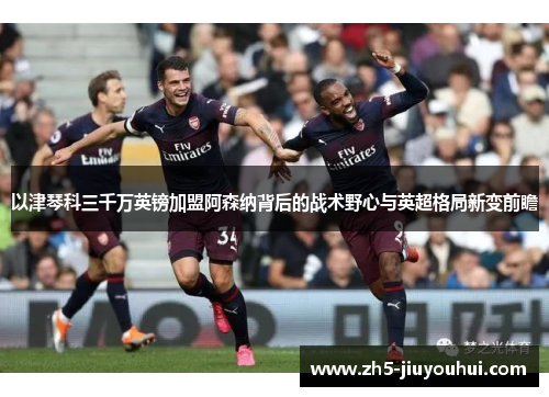 以津琴科三千万英镑加盟阿森纳背后的战术野心与英超格局新变前瞻
